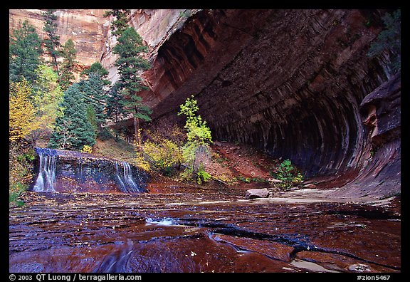 Cascade and alcove, Left Fork of the North Creek. Zion National Park, Utah, USA.