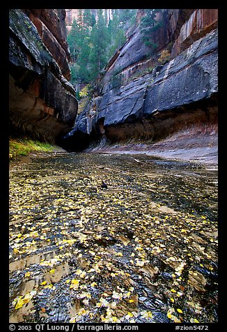 Entrance of the Subway, Left Fork of the North Creek. Zion National Park (color)