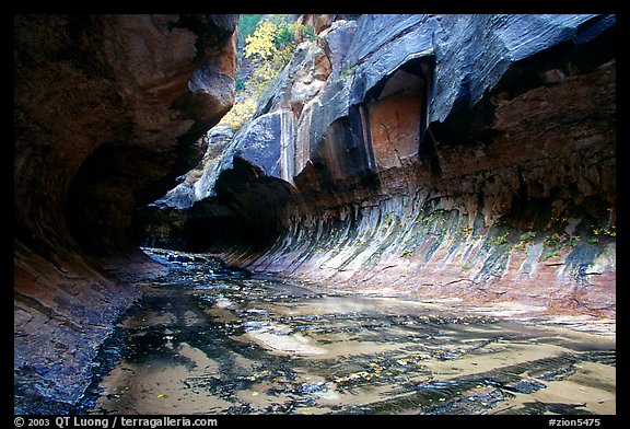 The Subway, a tunnel shaped like a round tube, Left Fork of the North Creek. Zion National Park, Utah, USA.