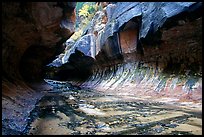 The Subway, a tunnel shaped like a round tube, Left Fork of the North Creek. Zion National Park, Utah, USA. (color)