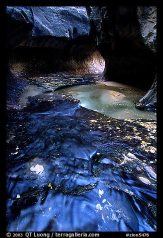 Water flowing in pools in the Subway, Left Fork of the North Creek. Zion National Park (color)