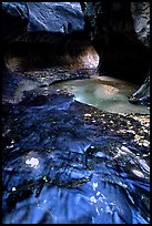Water flowing in pools in the Subway, Left Fork of the North Creek. Zion National Park ( color)