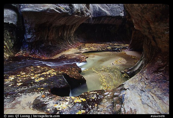 Water flowing in pools in the Subway, Left Fork of the North Creek. Zion National Park (color)