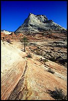 Sandstone swirls, Zion Plateau. Zion National Park, Utah, USA. (color)