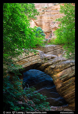 Arch and wall, Hidden Canyon. Zion National Park (color)
