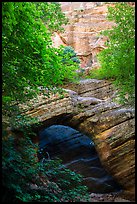 Arch and wall, Hidden Canyon. Zion National Park ( color)