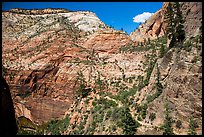 Distant hikers on Hidden Canyon trail. Zion National Park ( color)