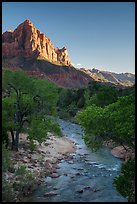 Virgin River and Watchman in summer. Zion National Park ( color)