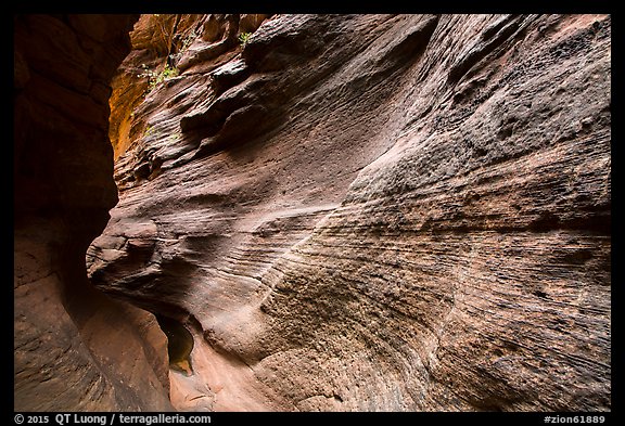 Slot canyon inside Mystery Canyon. Zion National Park (color)