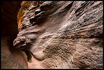 Slot canyon inside Mystery Canyon. Zion National Park ( color)
