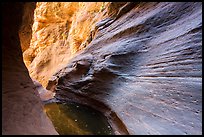 Water-sculpted canyon and pool, Mystery Canyon. Zion National Park ( color)