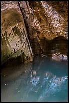 Mystery Springs pool, Mystery Canyon. Zion National Park ( color)