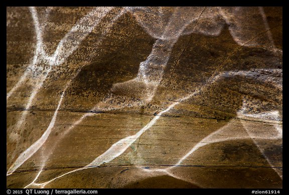 Ripples reflected on canyon walls, Pine Creek Canyon. Zion National Park (color)