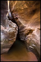 Sculpted canyon walls, Pine Creek Canyon. Zion National Park ( color)