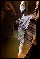 Slot canyon reflections, Pine Creek Canyon. Zion National Park ( color)