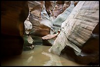 Slot canyon narrows and reflections, Pine Creek Canyon. Zion National Park ( color)