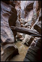 Stuck log in flooded canyon, Pine Creek Canyon. Zion National Park ( color)