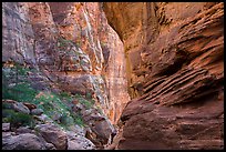 Tall canyon walls, Pine Creek Canyon. Zion National Park ( color)