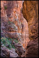 Pine Creek Canyon walls. Zion National Park ( color)