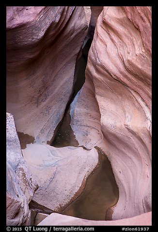 Sandstone bowl, Pine Creek Canyon. Zion National Park (color)