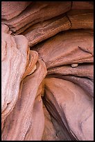 Sandstone ledges and chockstone, Pine Creek Canyon. Zion National Park ( color)