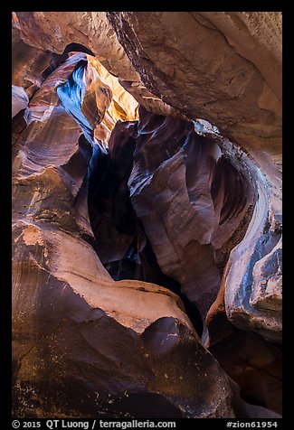 Alcove, Pine Creek Canyon. Zion National Park (color)