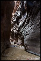 Dark passage in Orderville Narrows. Zion National Park ( color)
