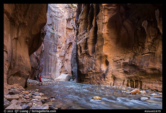 Visitor looking, the Narrows. Zion National Park (color)