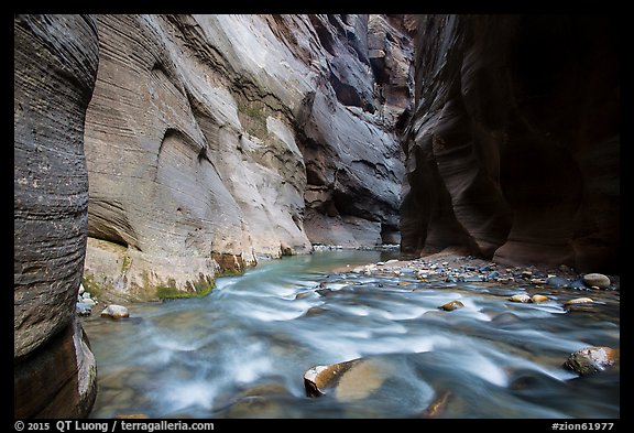 Virgin River flows over boulders under soaring walls of the Narrows. Zion National Park, Utah, USA.