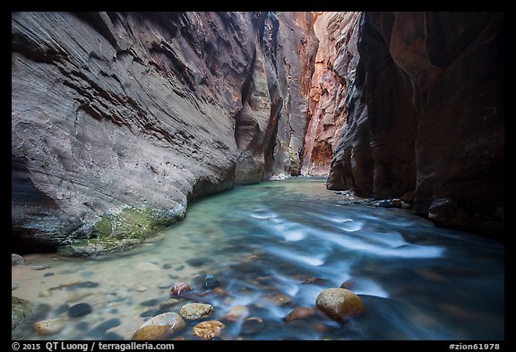 Narrows of the North Fork of the Virgin River. Zion National Park, Utah, USA.