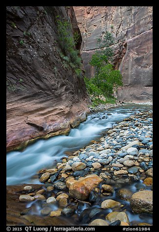 Colorful boulders and narrow channel of the Virgin River. Zion National Park (color)