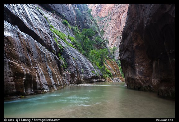Placid and wide section of Virgin River between cliffs, the Narrows. Zion National Park, Utah, USA.