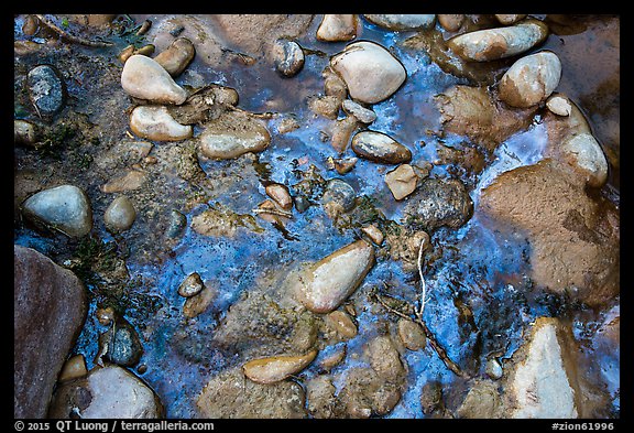 Rocks and oils. Zion National Park (color)