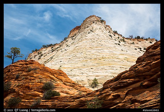White cliffs towering over red cliffs, East Zion. Zion National Park (color)