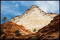 White cliffs towering over red cliffs, East Zion. Zion National Park ( color)