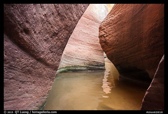 Water in the narrows of Keyhole Canyon. Zion National Park, Utah, USA.