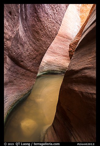 Pool in narrows, Keyhole Canyon. Zion National Park (color)