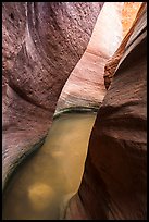 Pool in narrows, Keyhole Canyon. Zion National Park ( color)