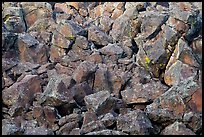 Volcanic rocks, Lava Point. Zion National Park ( color)