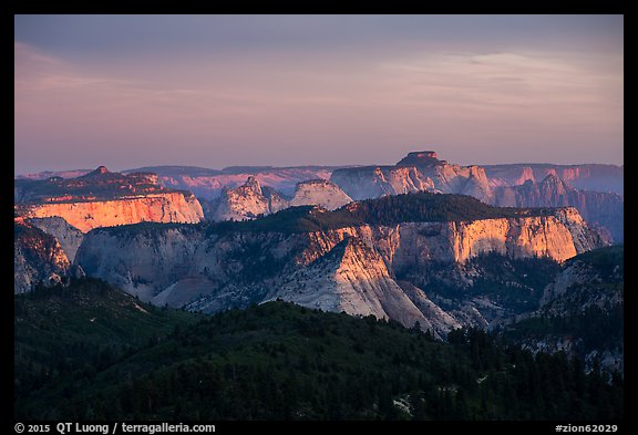 Forested plateaus and canyons at sunset from Lava Point. Zion National Park, Utah, USA.