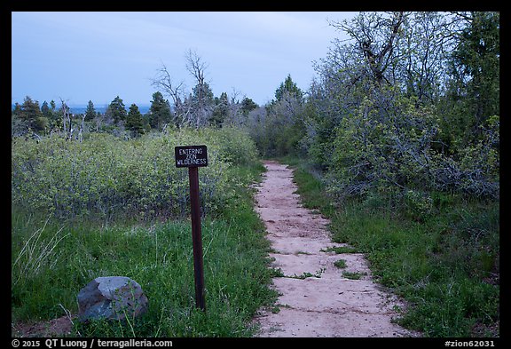 West Rim Trail into Zion Wilderness. Zion National Park, Utah, USA.