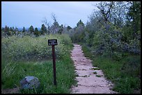 West Rim Trail into Zion Wilderness. Zion National Park ( color)