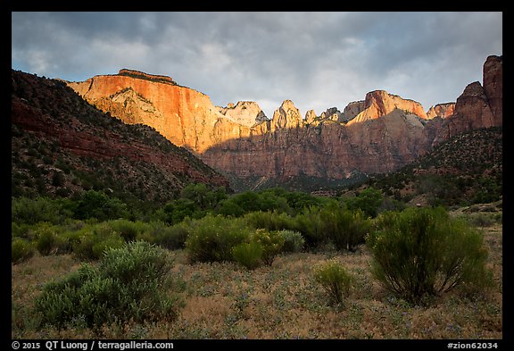 Towers of the Virgin, stormy sunrise. Zion National Park, Utah, USA.