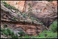 Echo Canyon. Zion National Park ( color)