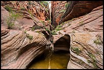 Pool and narrows, Echo Canyon. Zion National Park ( color)
