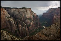 Zion Canyon during afternoon thunderstorm. Zion National Park ( color)