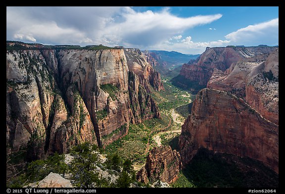 Zion Canyon from Observation Point. Zion National Park, Utah, USA.