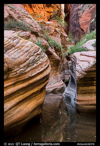 Scuptured canyon and reflections, Echo Canyon. Zion National Park (color)