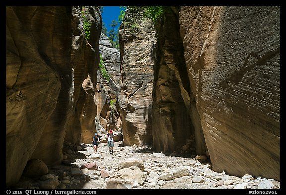 Hikers in Orderville Canyon. Zion National Park (color)