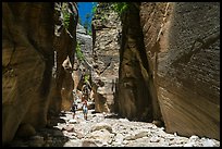 Hikers in Orderville Canyon. Zion National Park ( color)